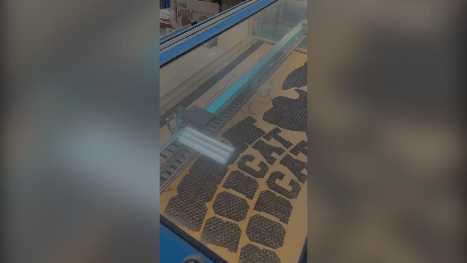 Montana State Bobcat Custom LED Backlit Sign | Layered Laser Cut Wall Art